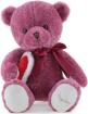 Rose Teddy Bear Plush (70cm)